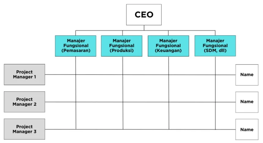 Conto Bagan Struktur Organisasi Matriks Perusahaan